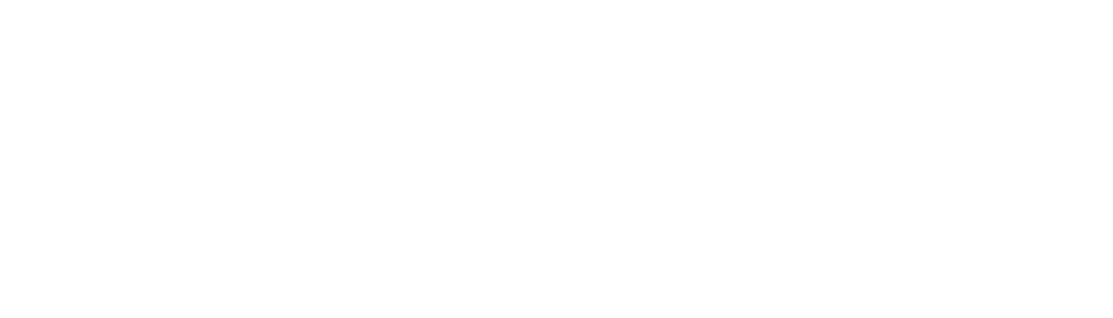 shopify logo large white