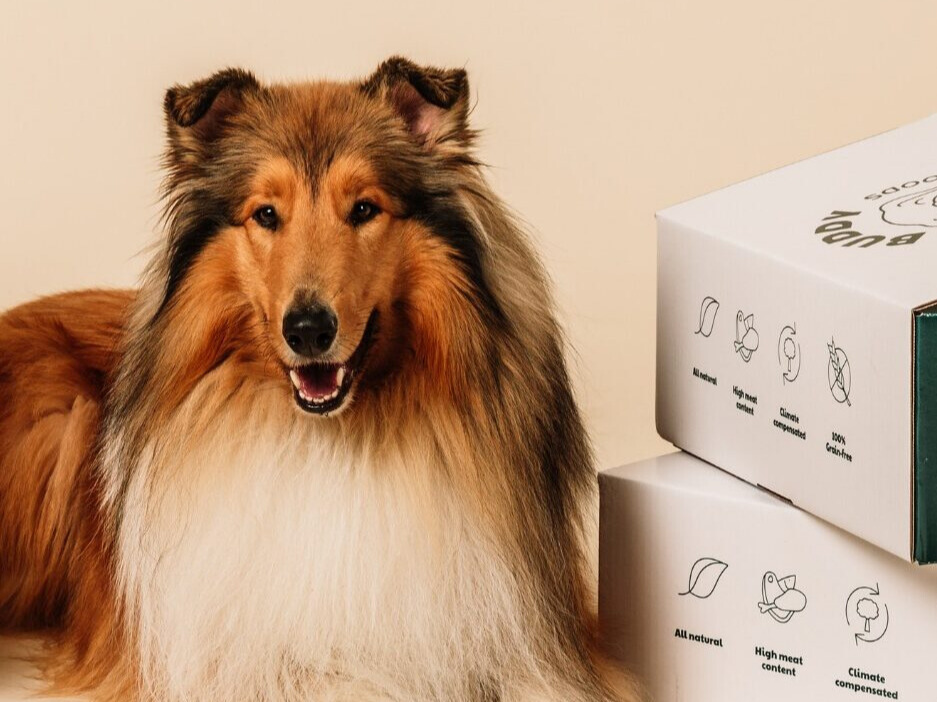 Buddy pet food edited Edited