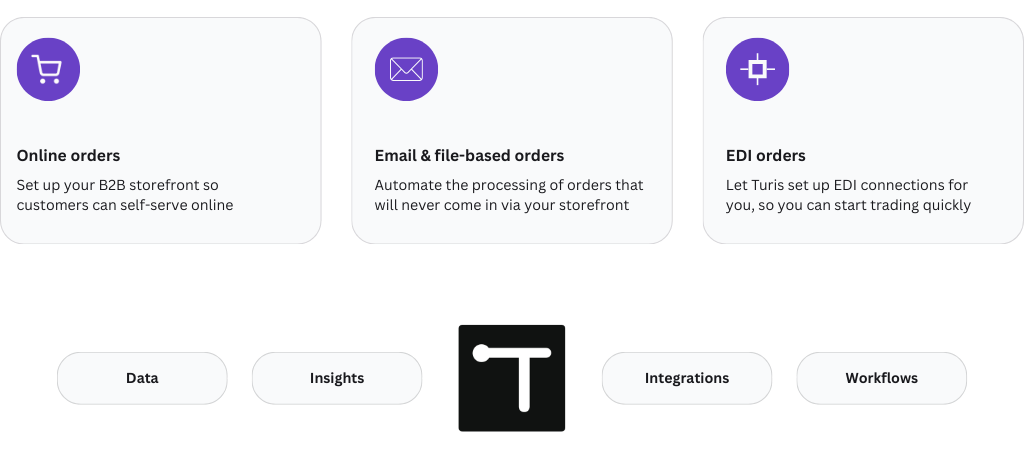 Turis Platform page hero graphic v3