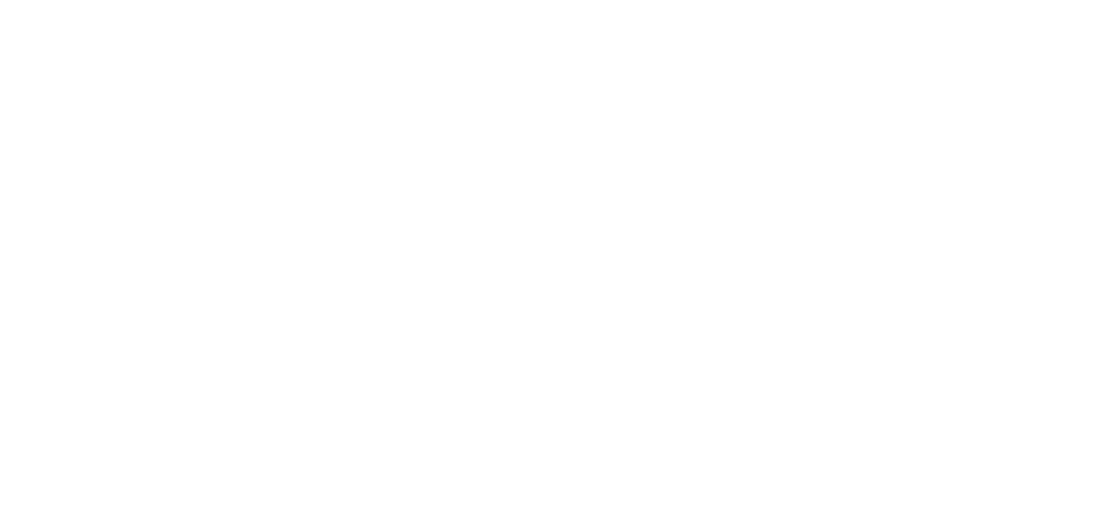 Witt logo